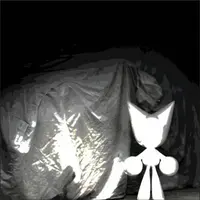 Act right cover art